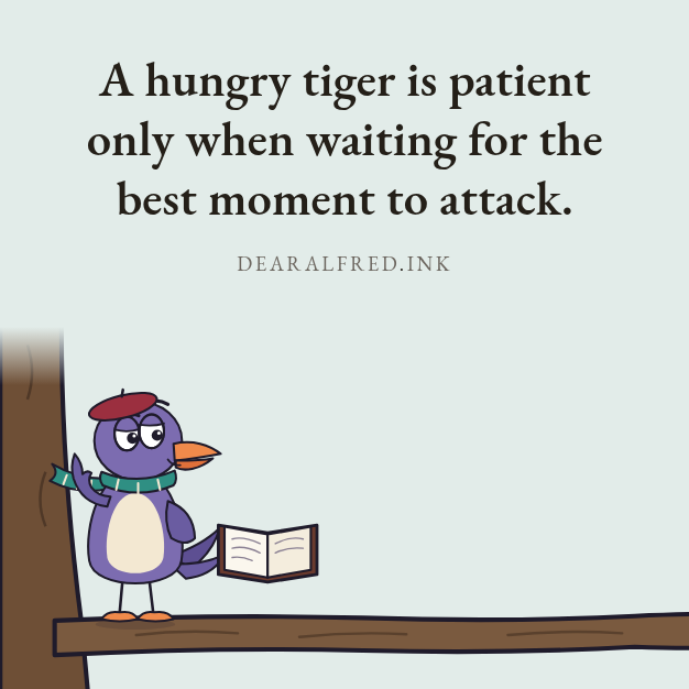 A hungry tiger is patient only when waiting for the best moment to attack.